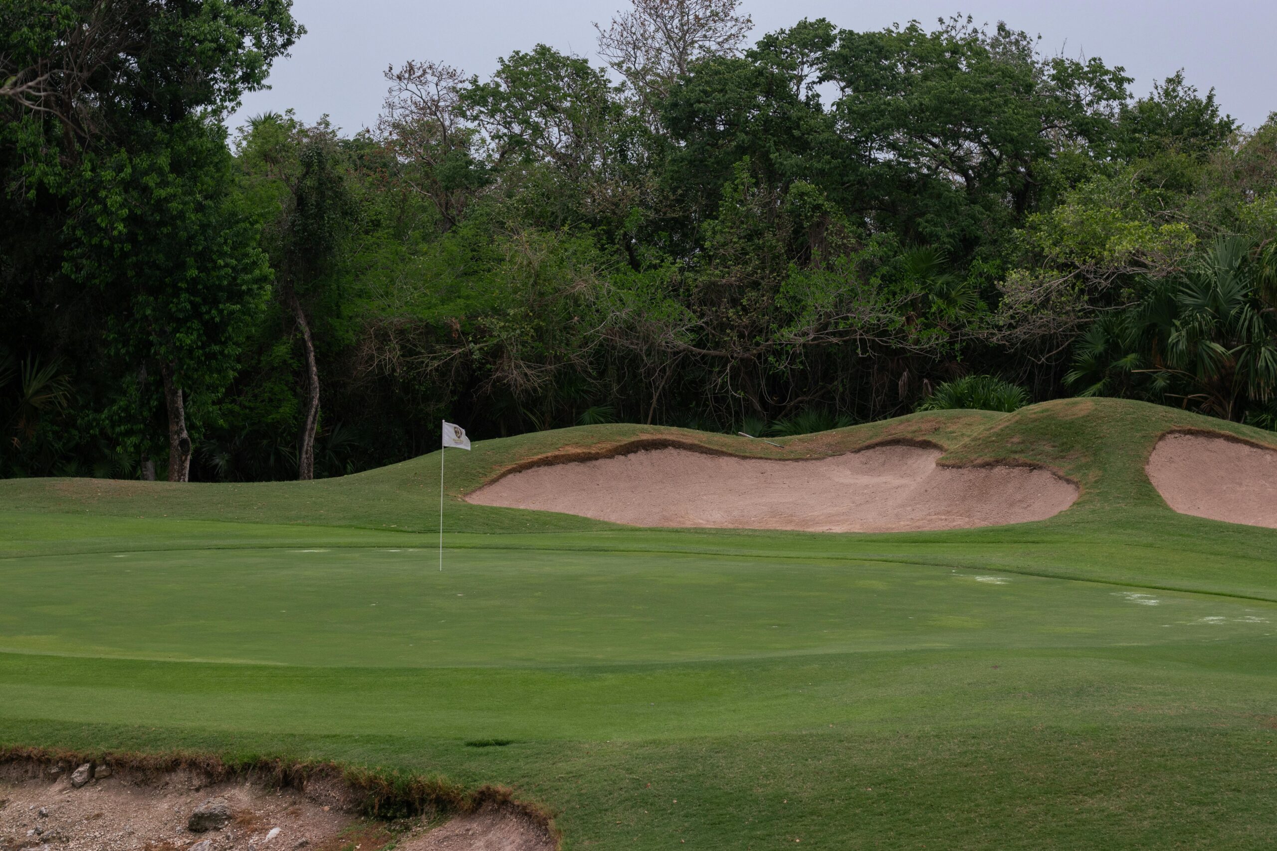 Serene view of a golf course with green grass, sand bunkers and surrounding foliage.